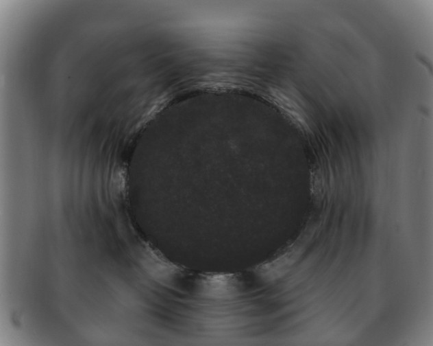 X0000091730382200708311208