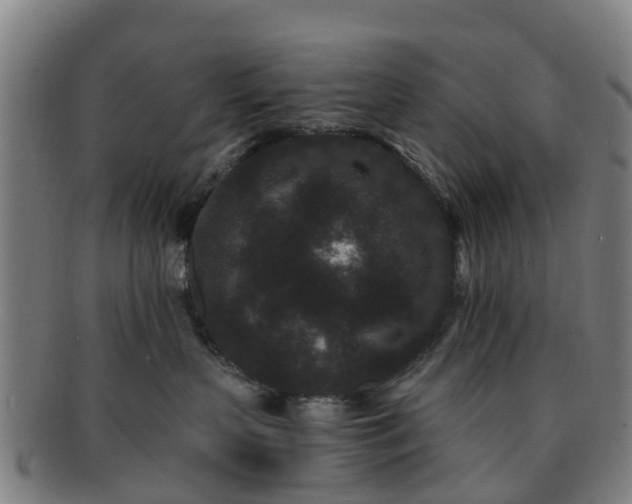 X0000091730383200708311208