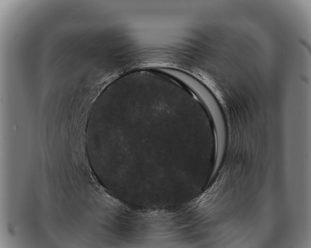 X0000091730385200708311207