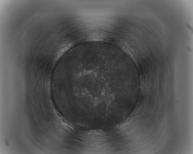 X0000091730386200708311207