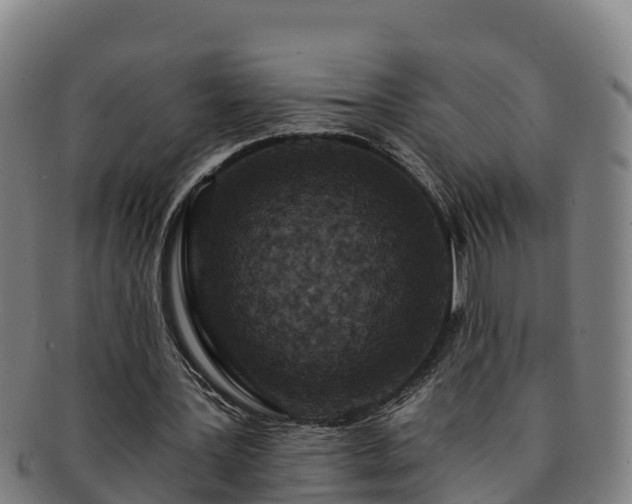 X0000091730387200708311207