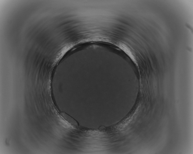 X0000091730389200708311207