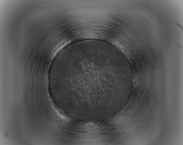 X0000091730390200708311207