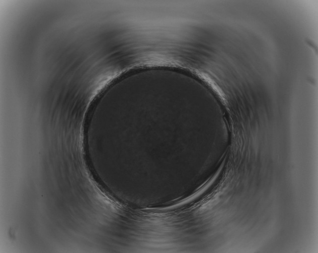 X0000091730391200708311207