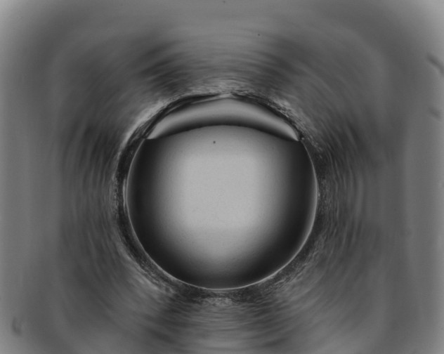 X0000091730392200708311207