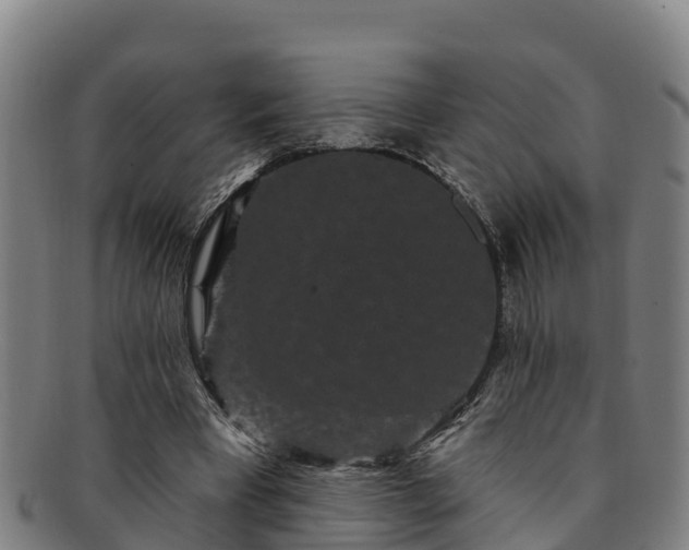 X0000091730393200708311207