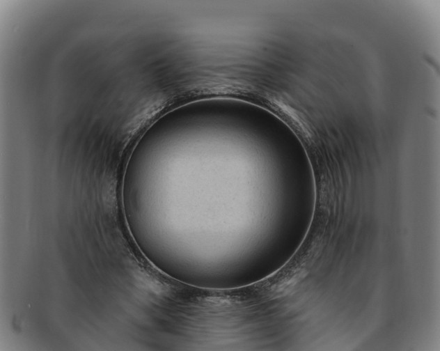 X0000091730394200708311207