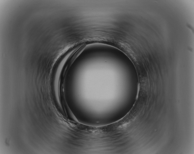 X0000091730395200708311207