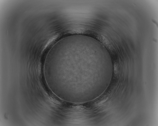 X0000091730396200708311207