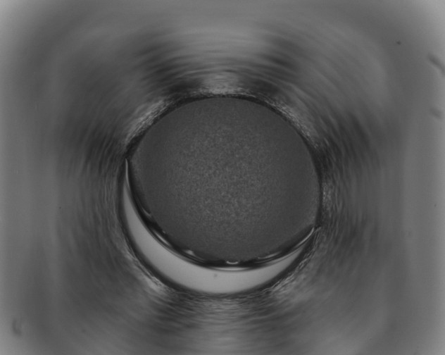 X0000091730397200708311207