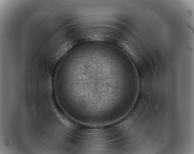 X0000091730398200708311207