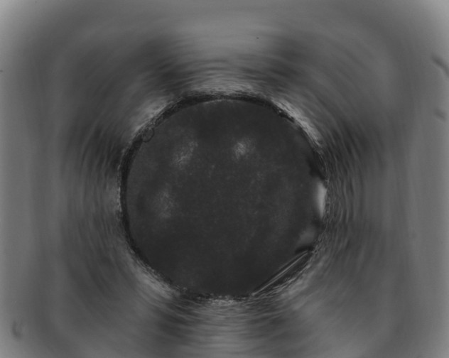 X0000091730399200708311207