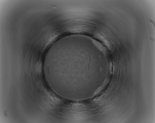 X0000091730400200708311207