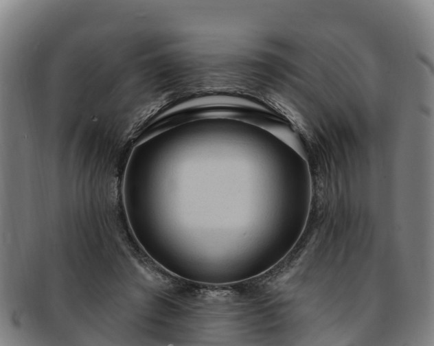 X0000091730401200708311207