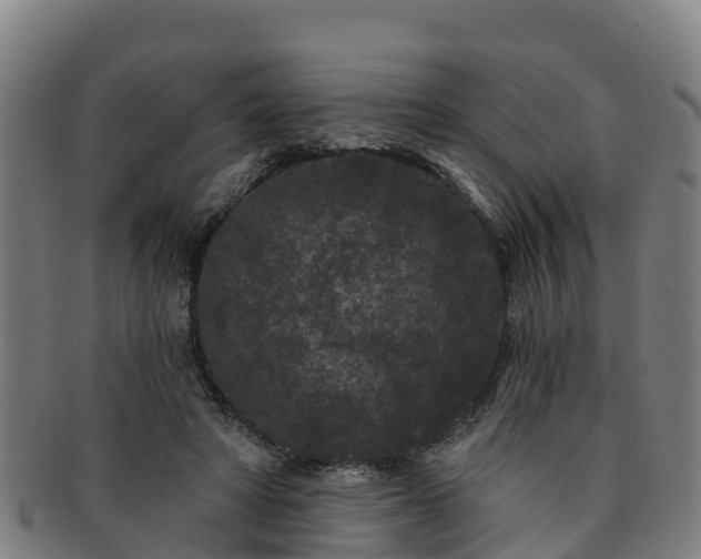 X0000091730402200708311207