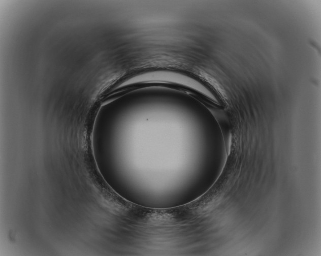 X0000091730403200708311207