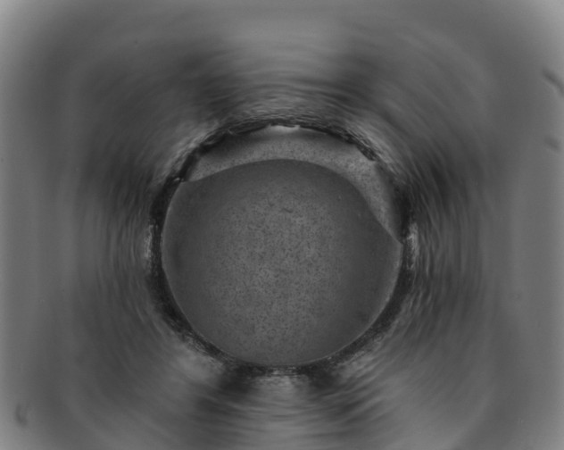 X0000091730404200708311207