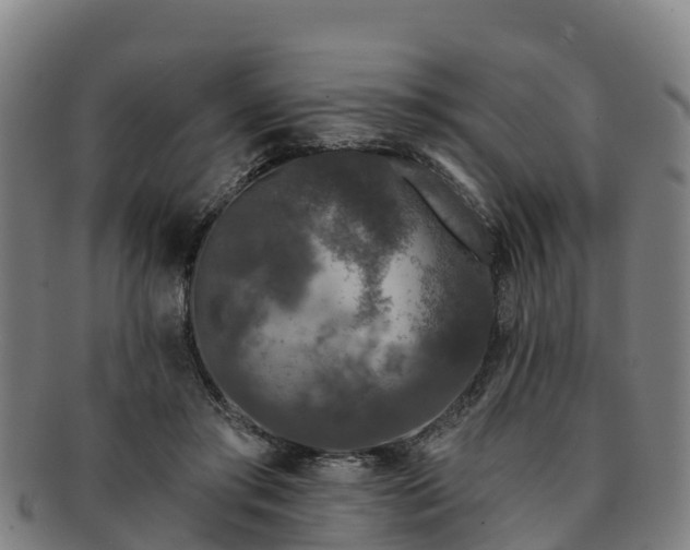 X0000091730405200708311207