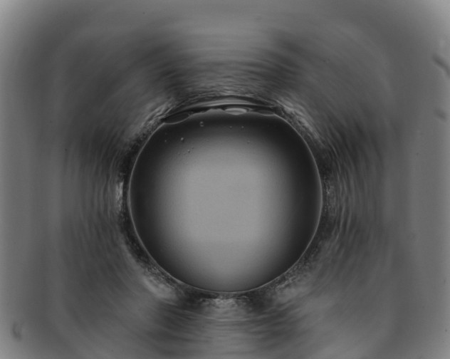 X0000091730406200708311207