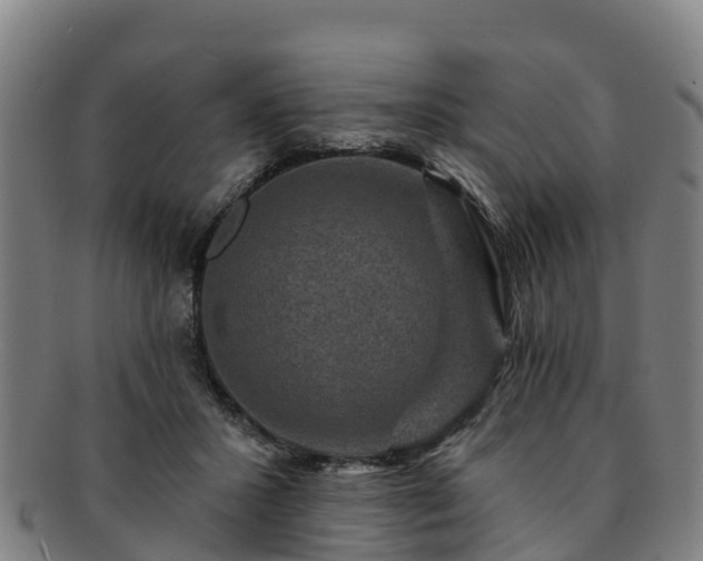 X0000091730407200708311207