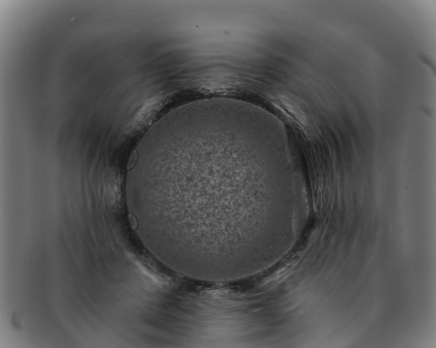 X0000091730408200708311207