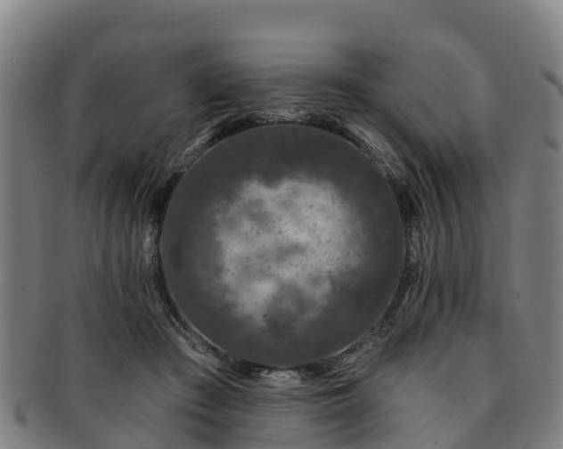 X0000091730409200708311207