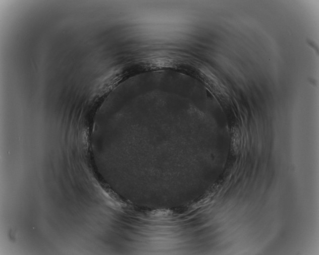 X0000091730410200708311207