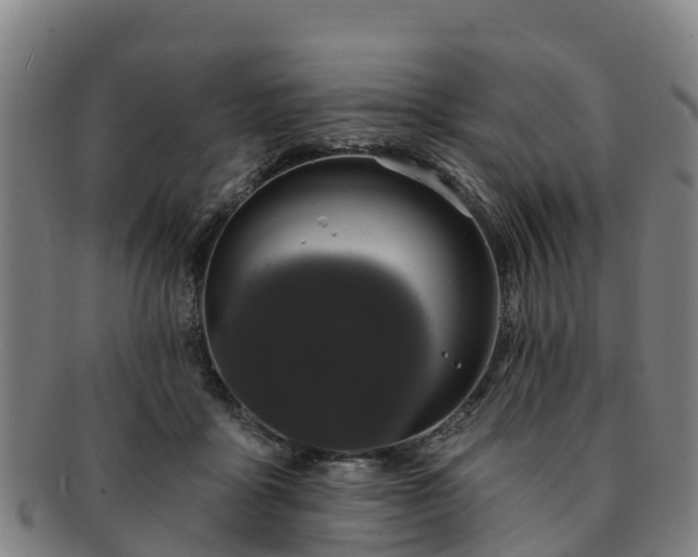 X0000091730411200708311207