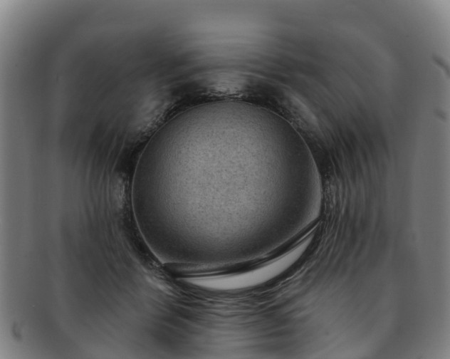 X0000091730412200708311207