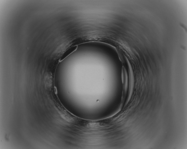 X0000091730413200708311207