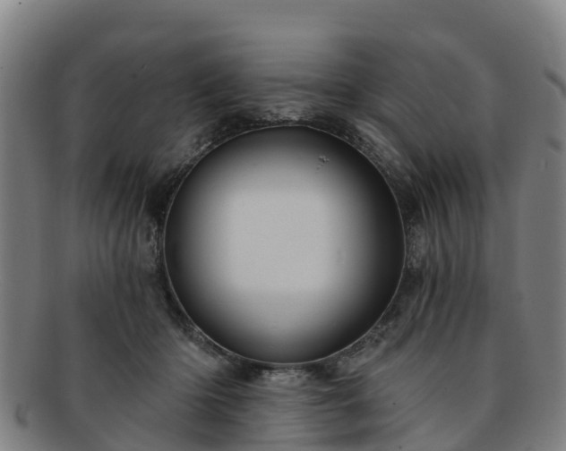 X0000091730414200708311207