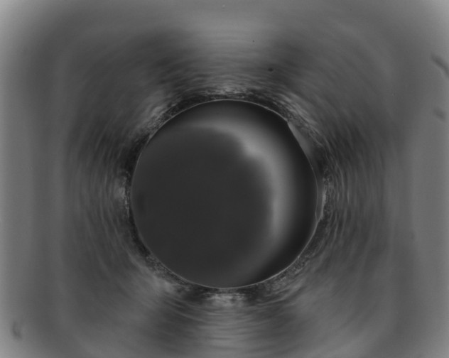 X0000091730415200708311207