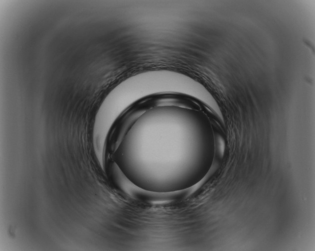 X0000091730416200708311207