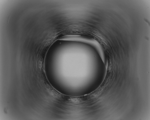 X0000091730417200708311207