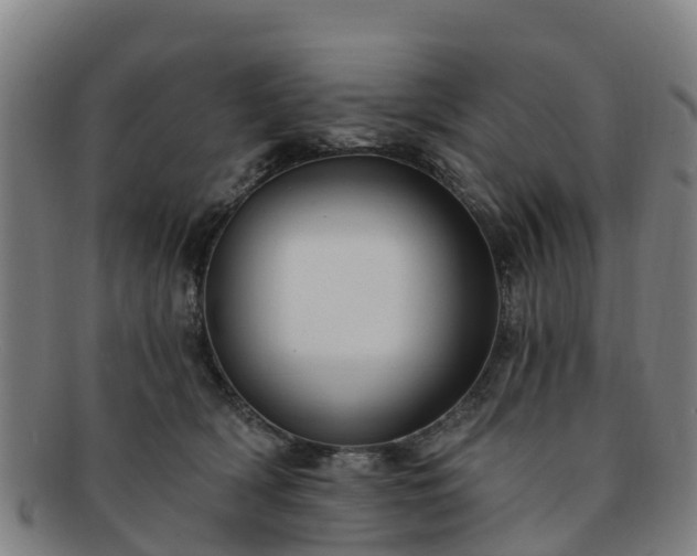 X0000091730418200708311207