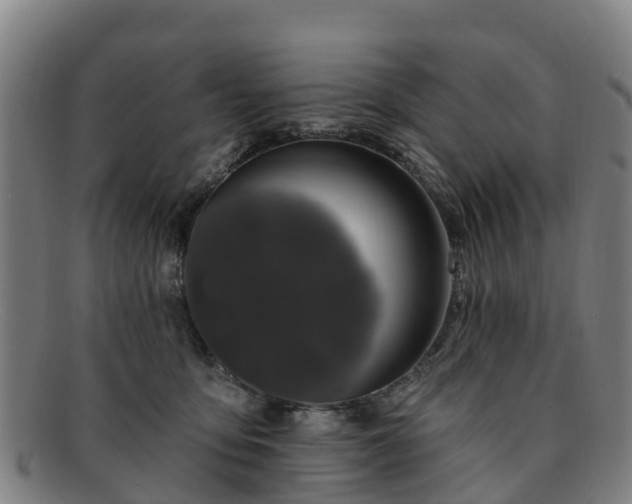 X0000091730419200708311207