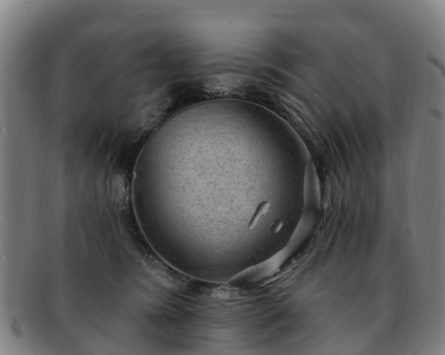 X0000091730420200708311207