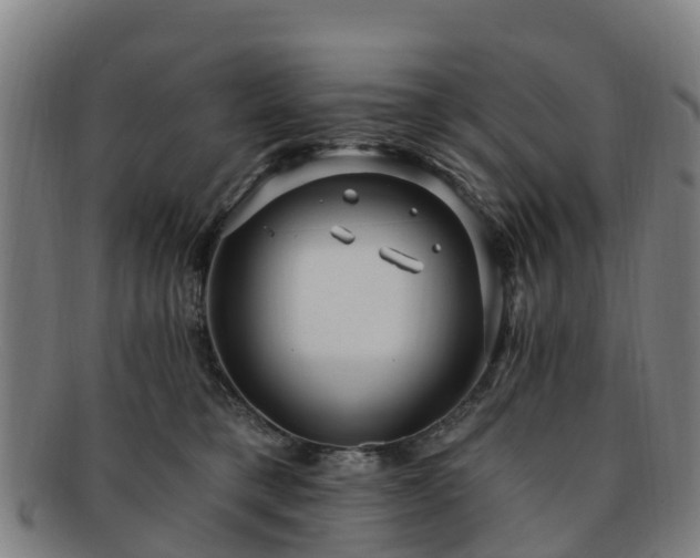 X0000091730421200708311207