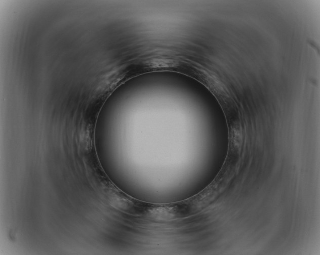 X0000091730422200708311206