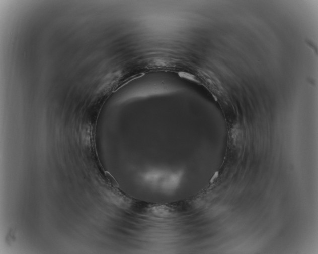 X0000091730423200708311206