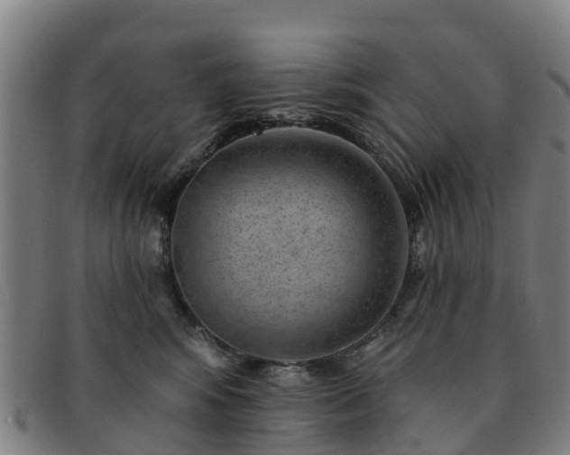 X0000091730424200708311206