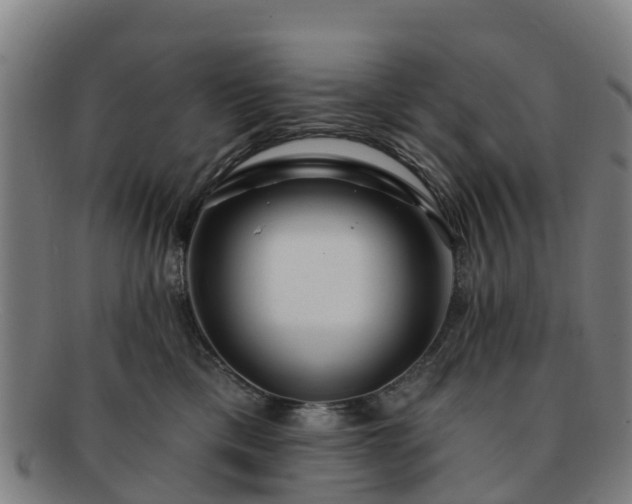 X0000091730425200708311206