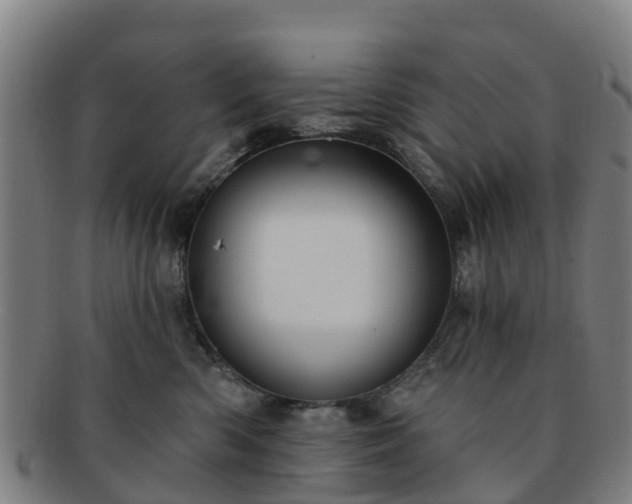 X0000091730426200708311206