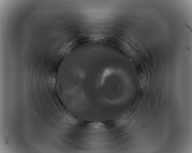 X0000091730427200708311206