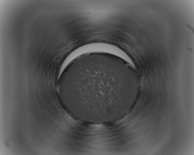 X0000091730428200708311206