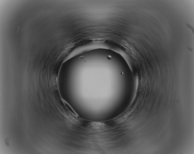 X0000091730429200708311206