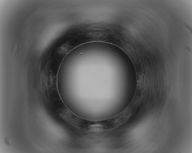 X0000091730430200708311206