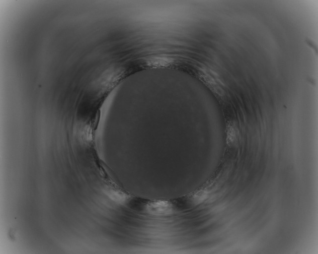 X0000091730431200708311206