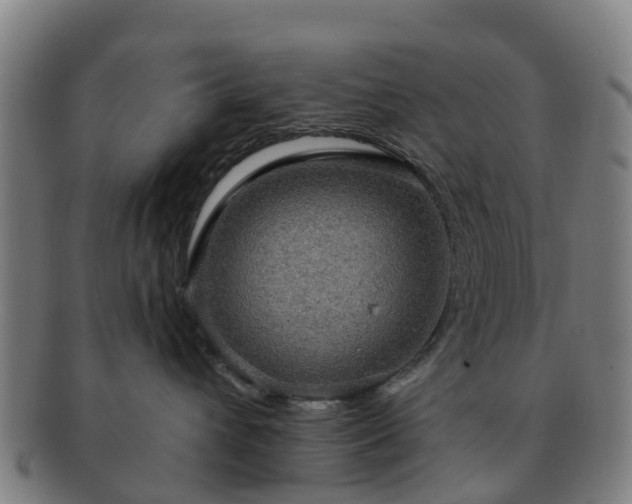 X0000091730432200708311206