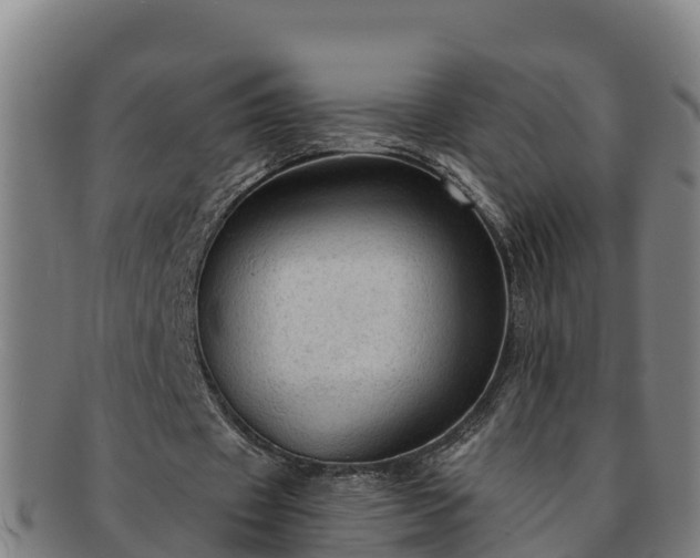 X0000091730433200708311206